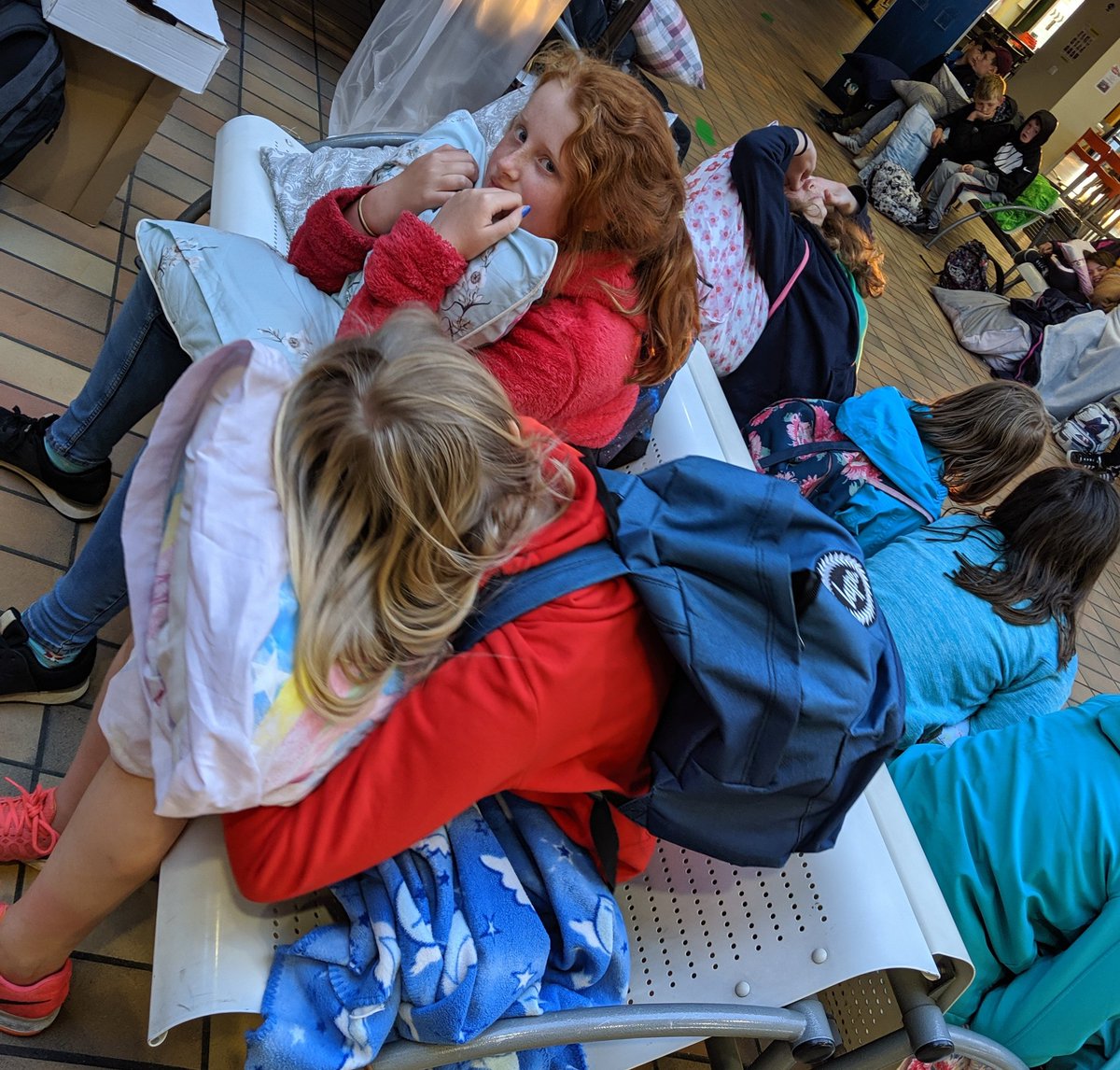 Malmesbury Primary tweet media
