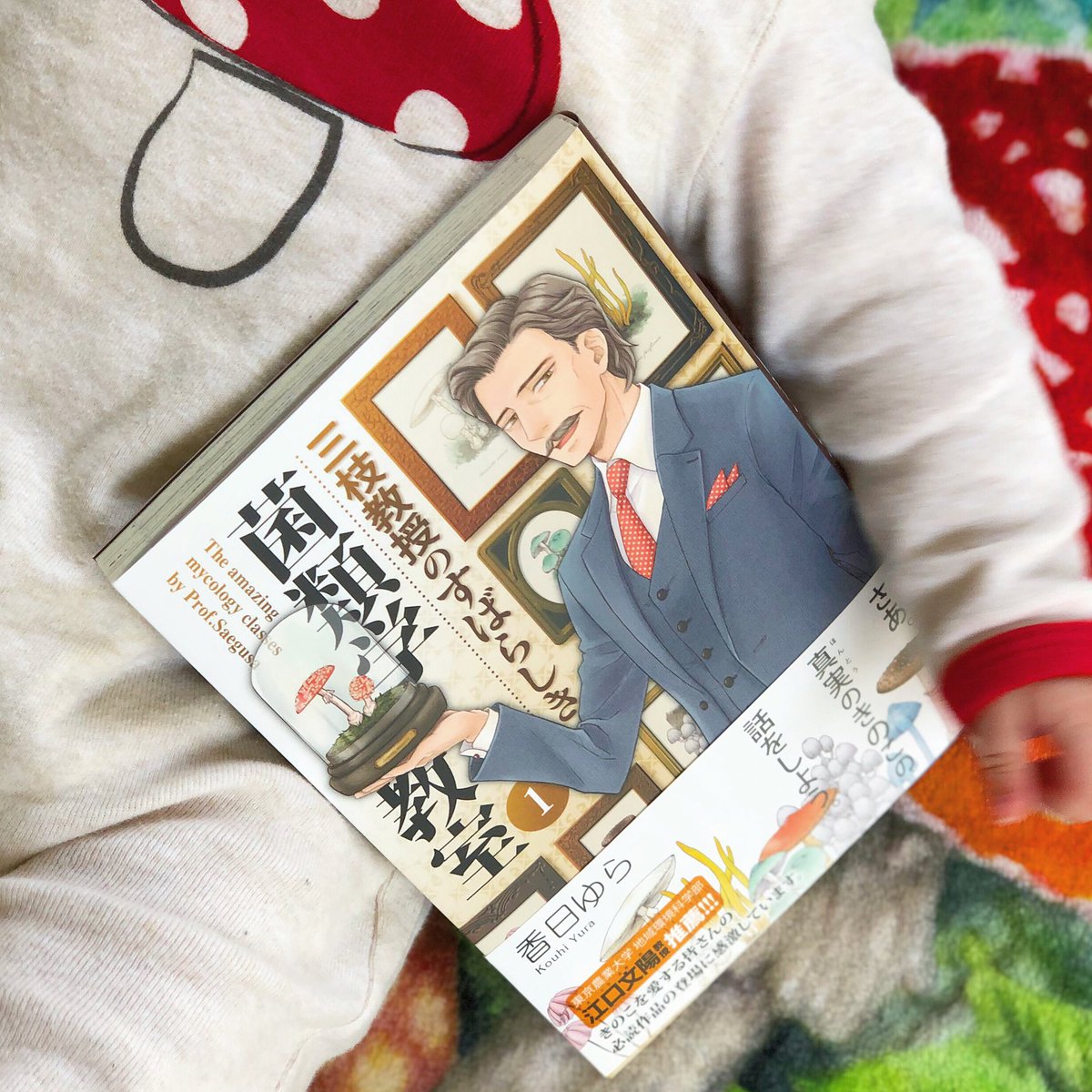三枝教授のすばらしき菌類学講座 についてのきのこクラスタの反応 Togetter 三枝教授のすばらしき菌類学講座 についてのきのこクラスタの反応 Togetter