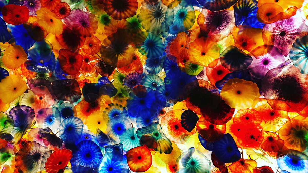 Dr Melanie O Brien On Twitter Bellagio Glass Flowers