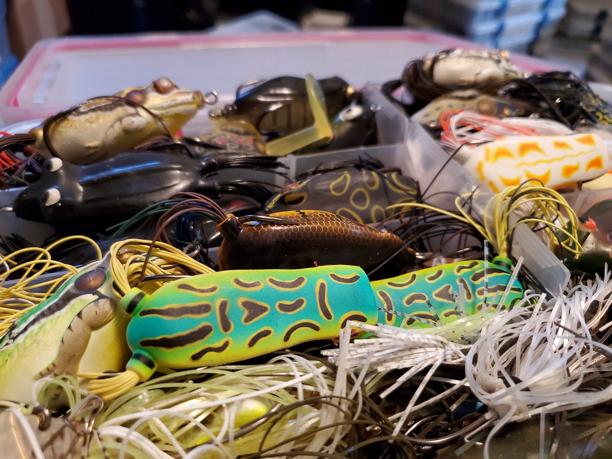 Destinedtofish's tweet photo. Playin' with frogs tonight ๐ธ. #frogbite https://t.co/sFcXMci5az