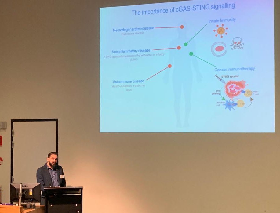 kile_lab's tweet photo. Our @MonashBDI @domdenardo giving a fantaSTING talk @ImmuMon #kilelab #ImmuMon2019 https://t.co/29KAaBRA8a