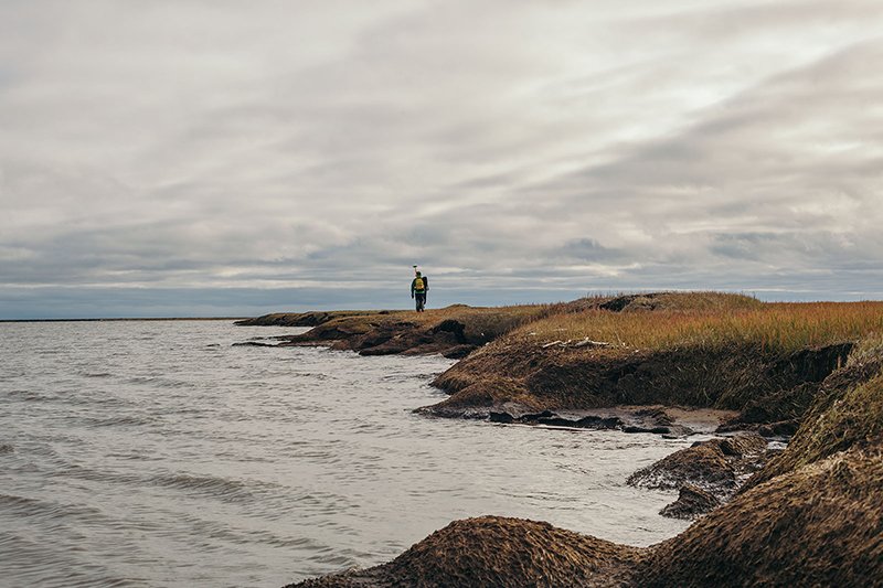 UTEP's tweet photo. A postdoctoral research fellow was named a recipient of Microsoft's Artificial Intelligence for Earth grant, which will support the College of Sciences's Systems Ecology Laboratory research on changing Arctic ecosystems. Learn more: https://t.co/aeZ5pEAIEF https://t.co/PGATcCrE5a
