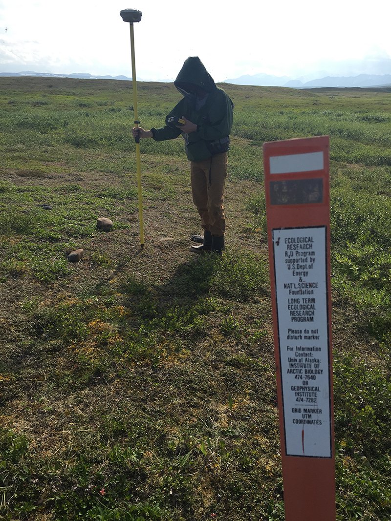 UTEP's tweet photo. A postdoctoral research fellow was named a recipient of Microsoft's Artificial Intelligence for Earth grant, which will support the College of Sciences's Systems Ecology Laboratory research on changing Arctic ecosystems. Learn more: https://t.co/aeZ5pEAIEF https://t.co/PGATcCrE5a