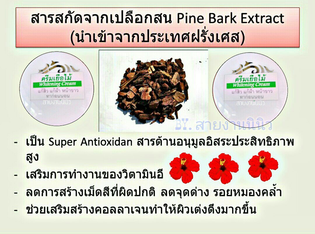 hlinja55's tweet photo. 🌲ครีมเยื่อไม้ (เปลือกสน)
เป็นสารสกัดจากเปลือกสนฝรั่งเศส เวชสำอางศิริราช https://t.co/SIBZU8WA51