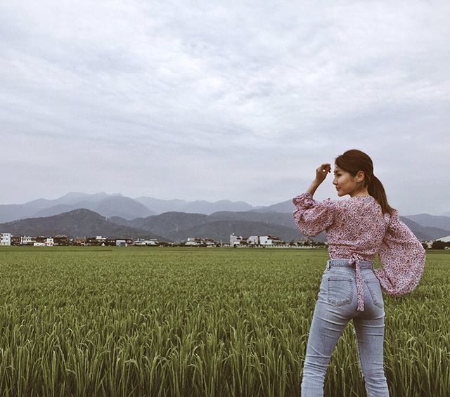 chillwithchloe's tweet photo. It was so peaceful cycling through those golden paddy fields and seeing stalks lightly swayed in the breeze 🌾🌾🌾 #taiwan #yilan #goldenfields #funtaiwan #chloegoestoTaiwan #potd #wiwt #chloetootd #ootd #asos #like4likes #chillwithchloe https://t.co/eAUHmxbRS3 https://t.co/LlyuQqvtuN