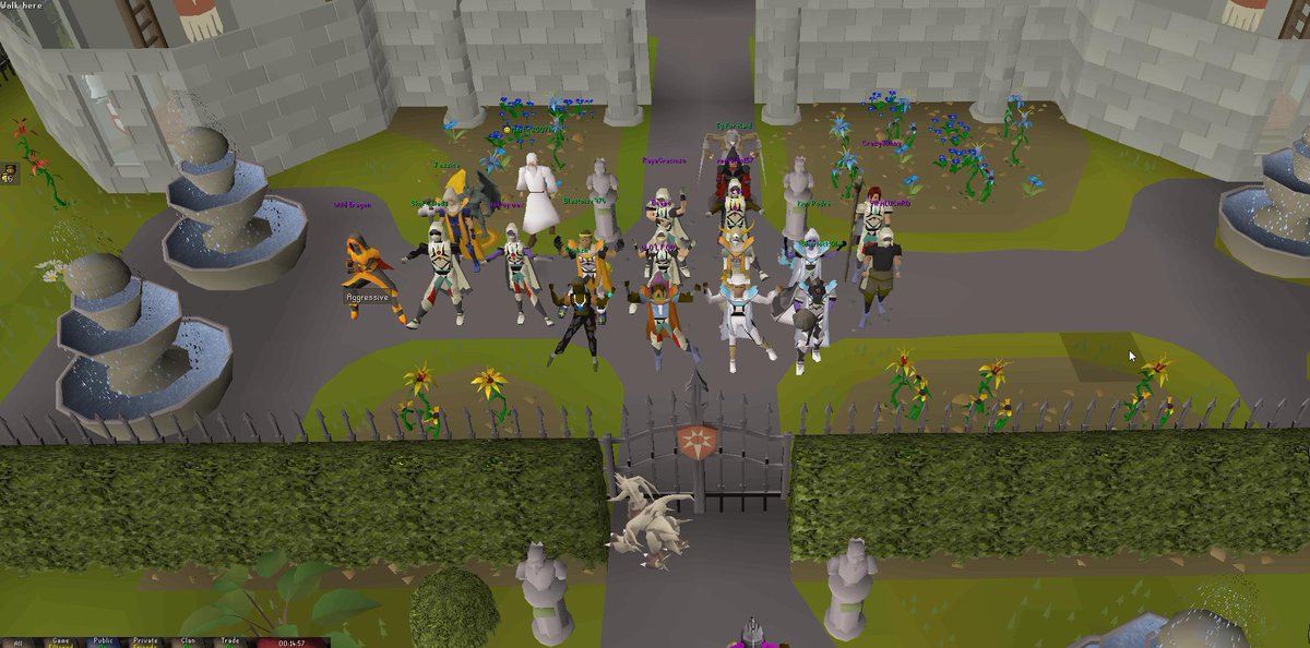 FyochiOSRS's tweet photo. Another event made by @EsquadraoDoAcai. Thanks guys! https://t.co/HF5QUWxlXW