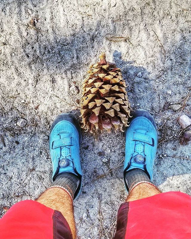 PetBeaconLA's tweet image. Like my head.
.
.
.
.
.
.
.
.
.
.
.
.
.
.
#biketravel  #biketrail  #justbikeit  #adventurebybike #travelbybike
#bike #cycling #adventure #exploremore #bicycle #traveladdict #biking #cyclinglife #cyclist #cyclingphotos  #biketour #biketrip #bikepacking #biketouring #cicloturi…