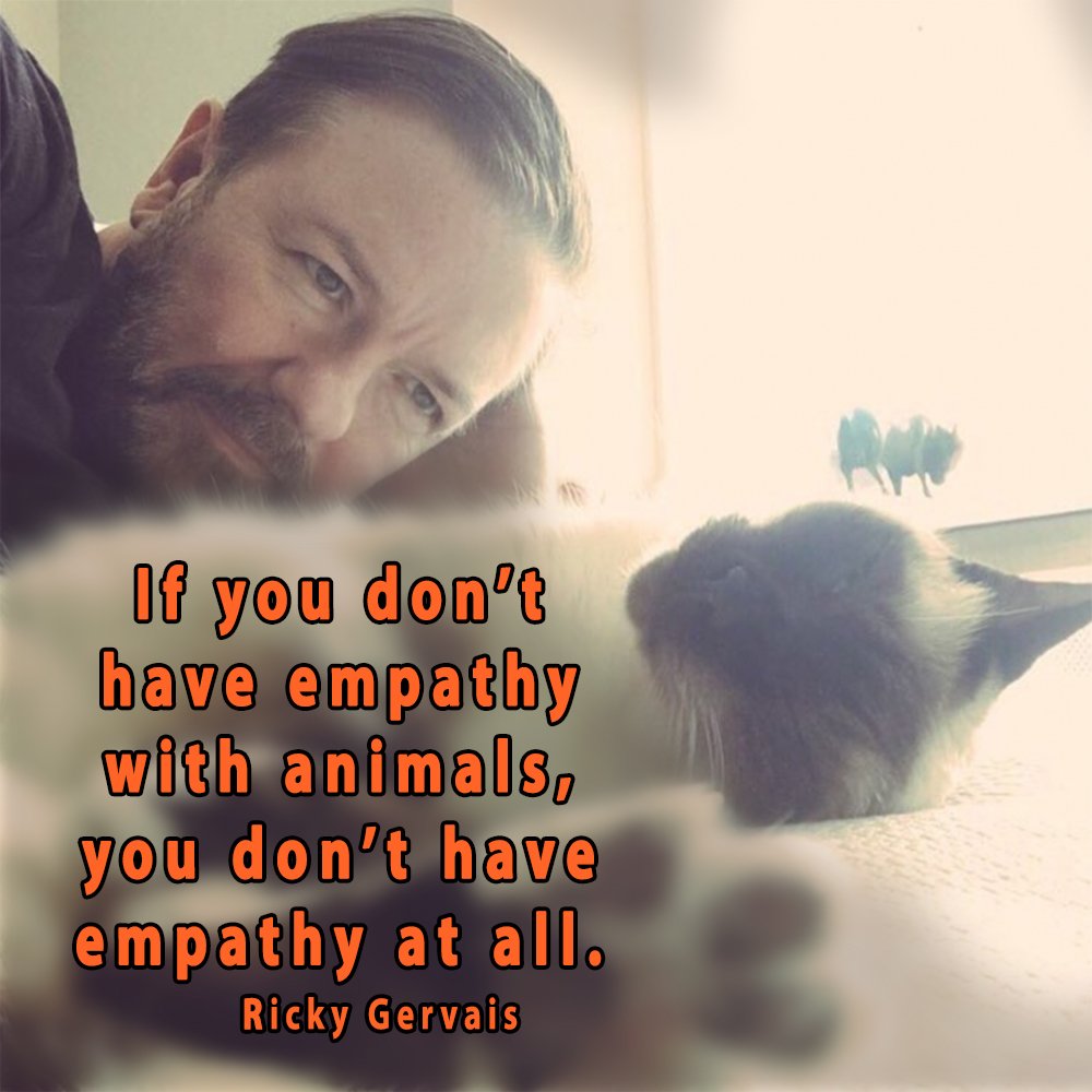 _AnimalAdvocate's tweet photo. A simple test by @RickyGervais to see if you're a touch sociopathic.
Do you feel empathy for #animals?
When we witness their suffering our #empathy should demand action.
Instinctively we should want to help.
If you don't feel this you need help.
Empathy is essential to happiness. https://t.co/tyVAvAVl8p