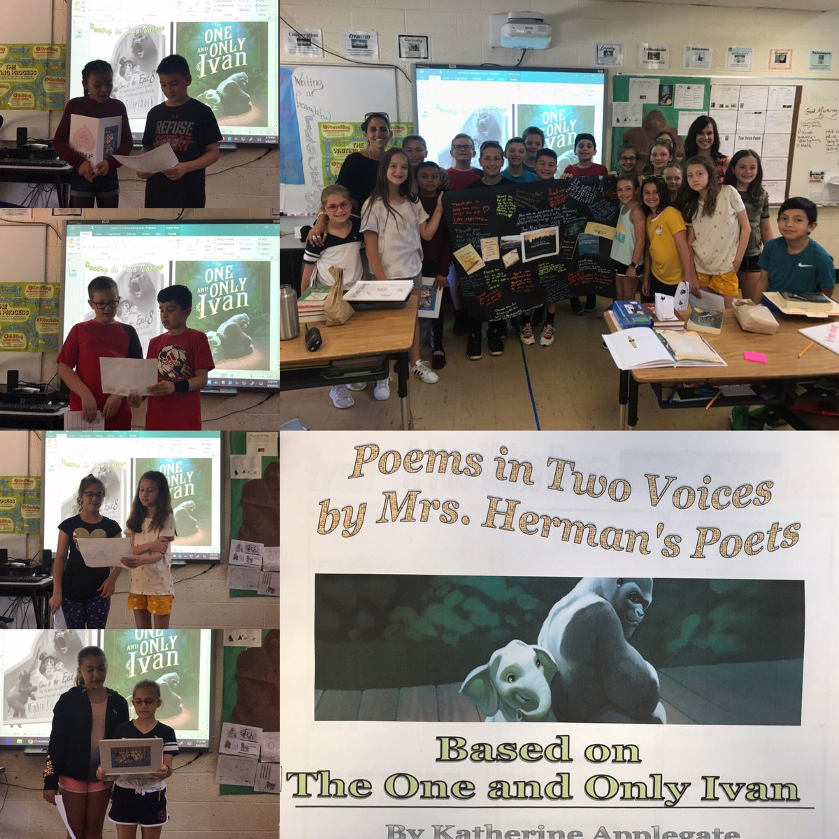 acronin16's tweet photo. A day to celebrate our 4th Grade Poets!   What a great year collaborating with an amazing teacher and her wonderful students!#ilovepoetry @SELSynergy @SCSD_SEL  @Tinamang2 https://t.co/G7UPHMpTId
