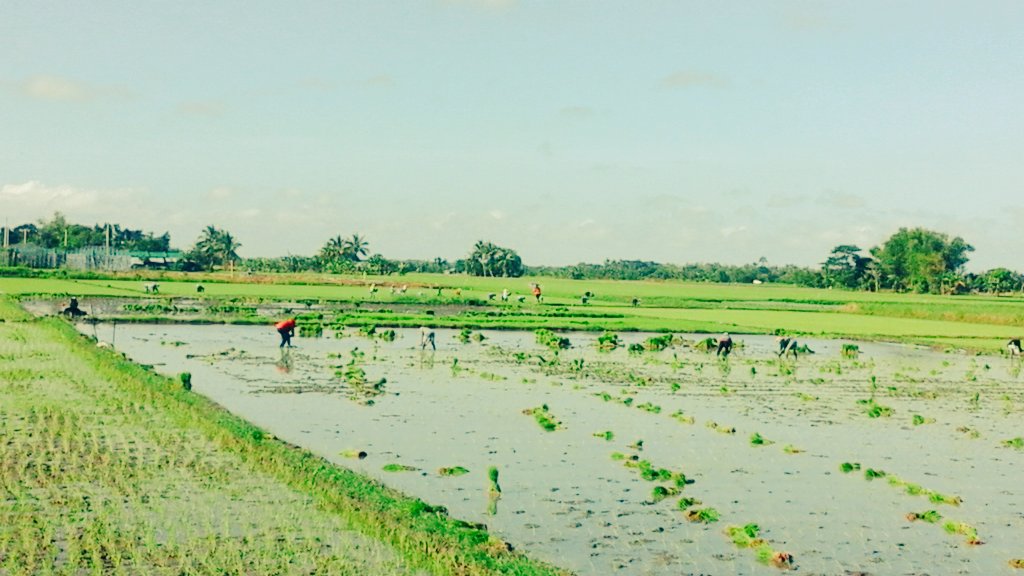 Vivenciotabuad1's tweet photo. @Dimayph God bless you always my friend #Dimay #BarotacNuevo #Iloilo ♡ #Philippines https://t.co/JSMAJ1rgTl