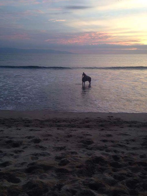 Grandes Recuerdos que no se ven a Diario.      Aki les Mando Saludos   Somos Gente de Caballos https://t<a href="/tag/mytwitteranniversary"class="tags"><span>#mytwitteranniversary</span></a>