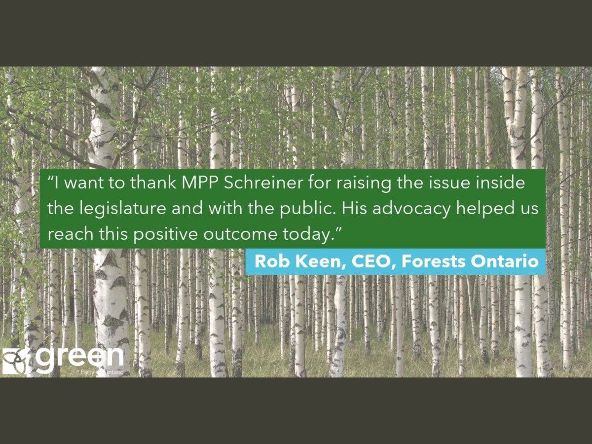 GuelphGreens's tweet photo. ”Q: So what can one Green MPP do?
A: Help save millions of trees.
@Forests_Ontario thanks @MikeSchreiner for his advocacy in helping to save the 50 Million Tree program after Ford’s cuts.”
- GPO
https://t.co/swVt432oiz #onpoli #ontrees https://t.co/92fQAAjPP7