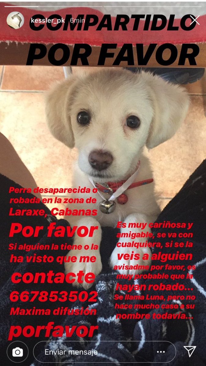 bbluemali's tweet photo. Porfa compartidlo, cuántos más RTs haya antes la podrán encontrar :( https://t.co/xgLPHVNuRF