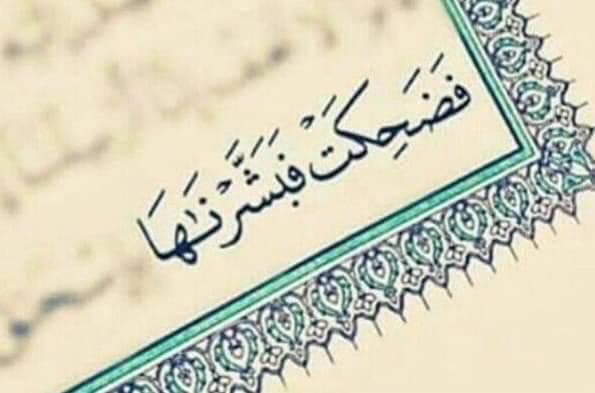 Hossam Mishrif (@hossammishrif) on Twitter photo 