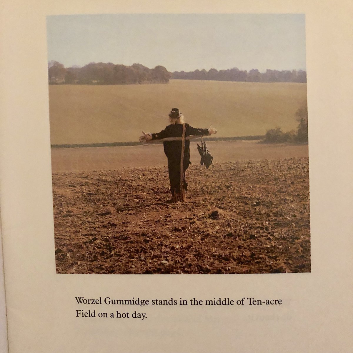 Worzel Gummidge Collector tweet media