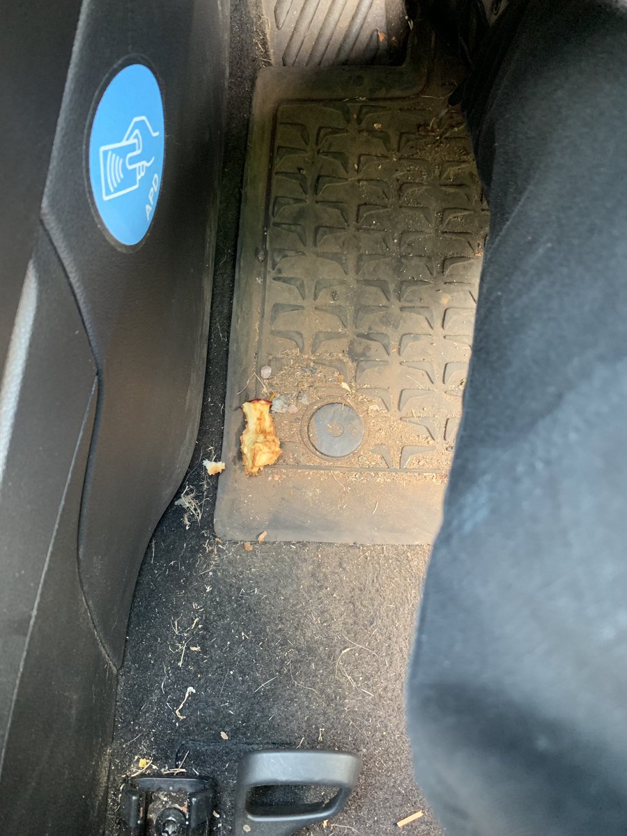 KugaCop's tweet photo. So, someone takes the van today and I become “AstraCop” for the day. I get welcomed with an apple core. I then find an empty banana skin in the door! #AbsoluteAnimals #WouldYouDoThisInYourOwnCar https://t.co/fGIbyyiIej