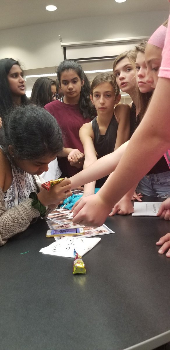 Hey there 2019 Capstone gallery walk. Henna demos, a children's hospital room remodel to be more like home, homemade horror flicks, and "hacking" for good. AMAZED and in AWE.  <a href="/DASD_LMS/">Lionville Middle School</a> #LMSCapstone