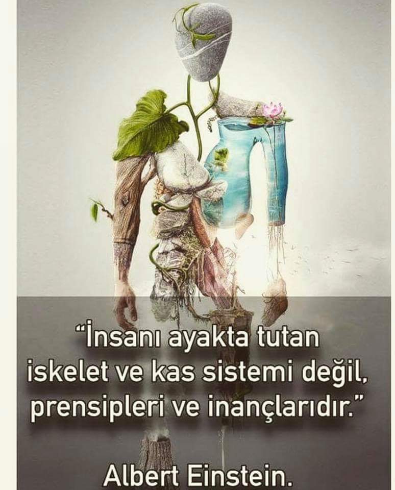 Rahmi Kalender (@rcarefreee) on Twitter photo 