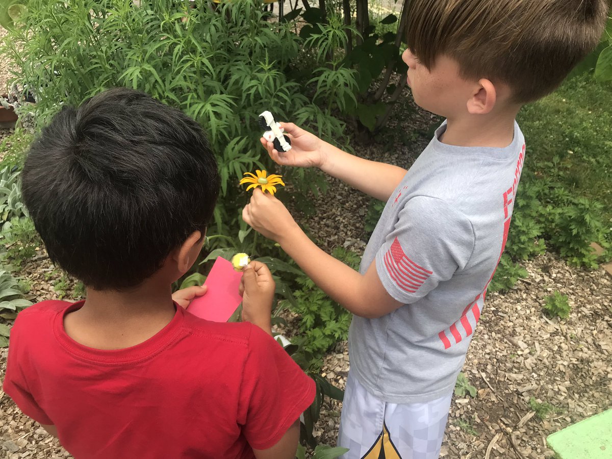 mrscapka's tweet photo. Testing our hand pollinators @Hillcrest_BCPS by finding native flowers @HESCourtyard @ramos_maria1 @mwebsterbcps @BCPSOutdoorSci #BeeanEngineer https://t.co/1kG5o9RvPh