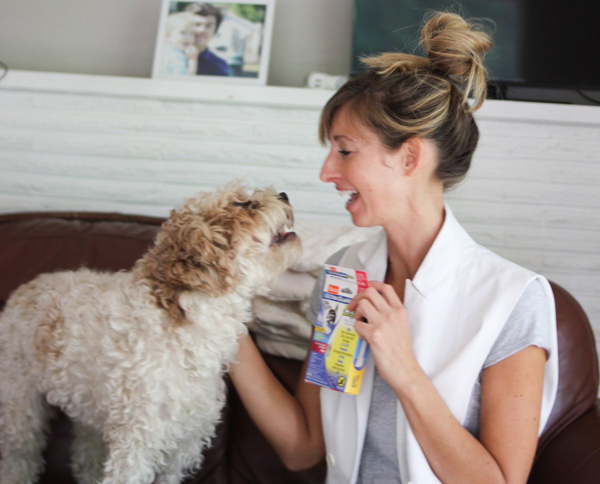 JoyfulMesses's tweet photo. #ad make sure to read these tips for adventuring with your pet this summer!  #UltraGuard @HartzPets https://t.co/HKDV4QDZPN https://t.co/fpq1BPYG8E