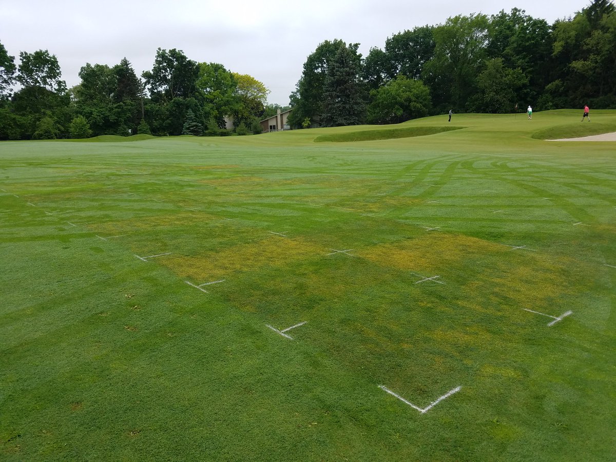 HeritageTurfMI's tweet photo. Two great things: gracious lending of golf course turf for research and poa dying. Thanks @JaredEMilner, @Turficidal, and @betterturf for letting me tag along! #anuew #xonerate #trimmit #torque #velocity https://t.co/K5tYs9XgDd