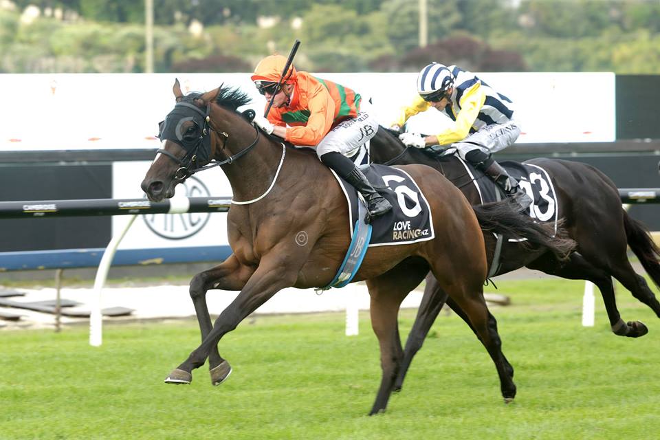 WestburyStud's tweet photo. While we wish the connections of #ReliableMan pair of #Nobu and #TrustyLad the very best of luck in tomorrow's @BrisRacingClub QTC Derby, we would be just as pleased for graduate #LordArthur to feature for his team @ForsmanAndrew @Coreyjockey #threechances #allgoodhopes #goteam https://t.co/5hUBgIsBvq