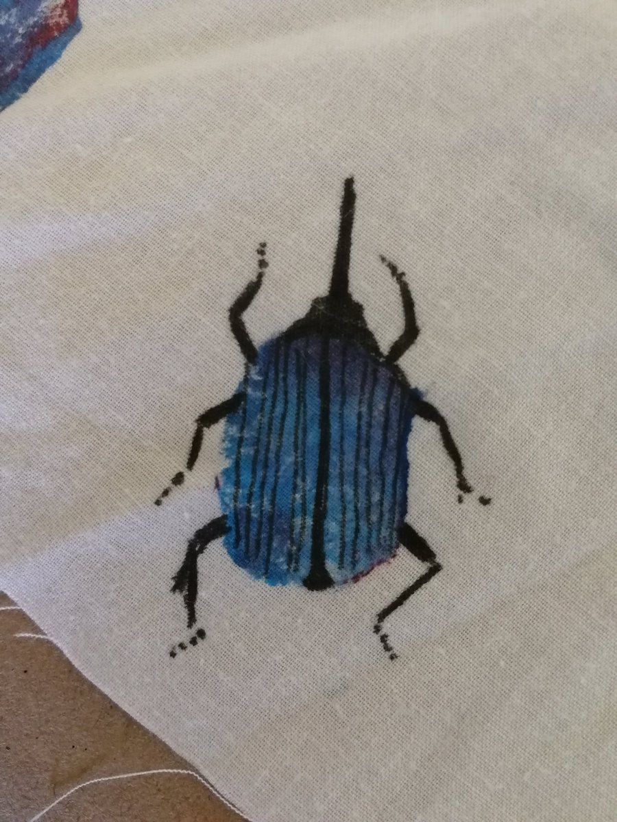 digjaggerdig's tweet photo. Day 5 drawing beetles #30dayswild https://t.co/NQCvsUi5Re