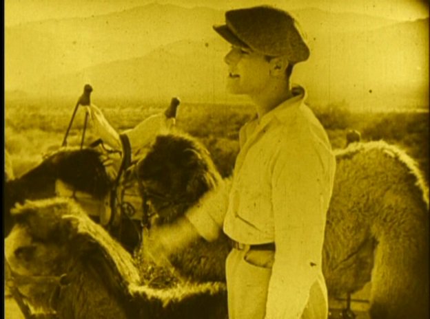 bergersmicer's tweet photo. Souls for Sale (1923) with Meg Morley, Kennington Bioscope Silent Weekender Day 2 (AM) https://t.co/I7kwePvMFP #SilentFilm #EleanorBoardman #WilliamHaines #LewCody (who married Mabel Normand...) #Chaplin #VonStroheim et al https://t.co/HWVz5F0cNh