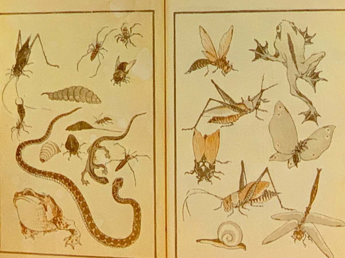 N2NMassageAroma's tweet photo. Manga: to draw aimlessly, following your instincts...images of beautiful manga from  “Hokusai: the father of Manga” you can see why his work was said to have been “transmitted from the Gods with open hands 🤲🏻” #britishmuseum #hokusai #manga #volunteer #volunteering #myotherjob https://t.co/oHa33j3i8u