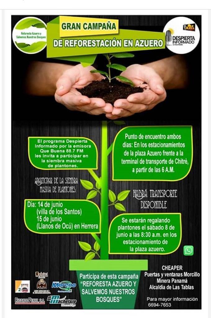 Despiertainfor1's tweet photo. Gran campaña #ReforestaAzueroYa un proyecto que buscar hacer conciencia sobre la reforestación en el interior del país 🇵🇦 @Despiertainfor1 @jmorales05 https://t.co/n409pW4Hud