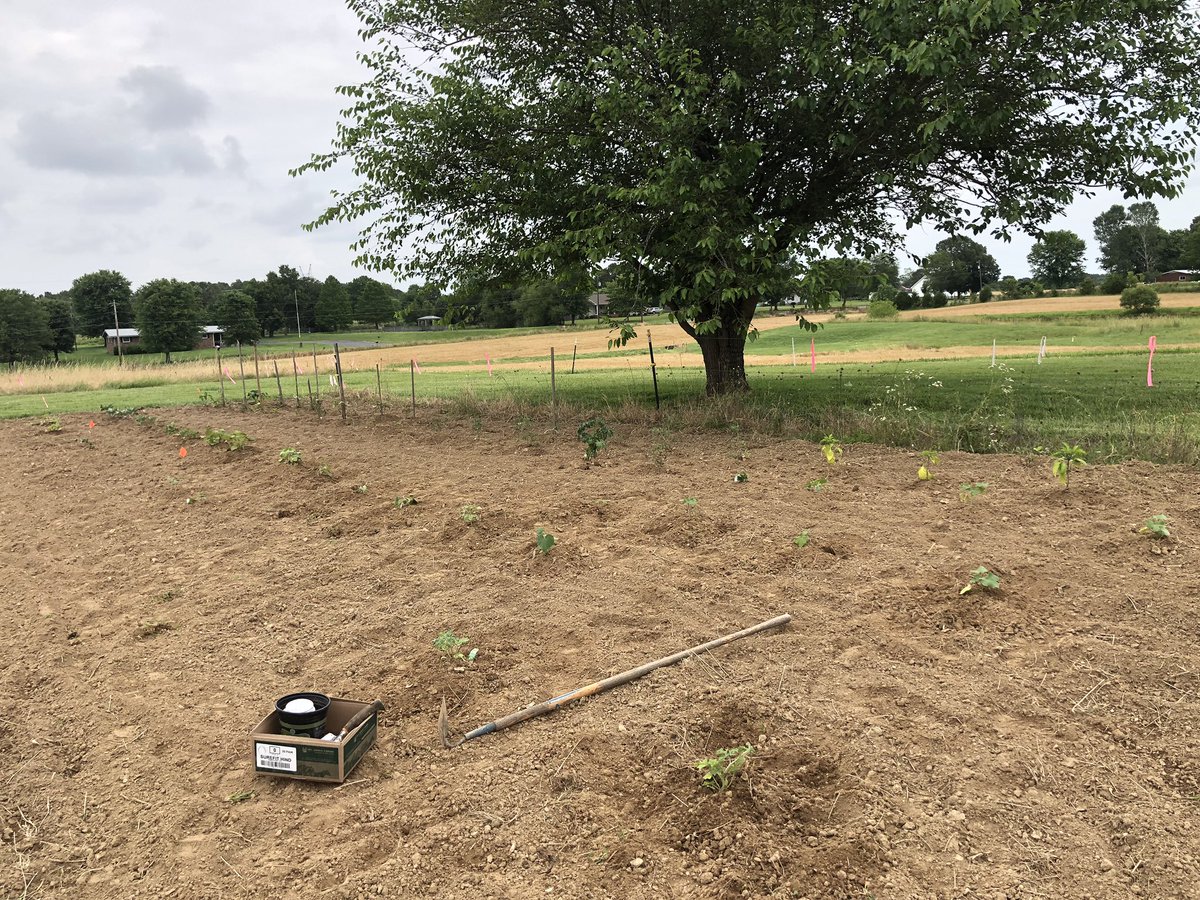rholt64's tweet photo. I still enjoy playing in the dirt!
#myhappyplace https://t.co/HlCrL8uNNT