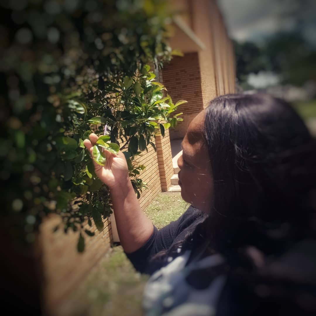 alc197x's tweet photo. Had fun with the google photo apps today! It is amazing how fast technology change and every educator has the power to to get it into the hands of every one of their students! #EdTechTeam @deelanier #googlesummit2019 https://t.co/wPEAIv8ONC