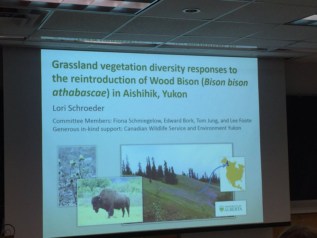 UAlbertaRRI's tweet photo. Fantastic MSc thesis seminar by @UofAALES Lori Schroeder! Cool #plant #biodiversity data! #bison #grazing #Yukon #grasslands https://t.co/0TFBnfGr2T
