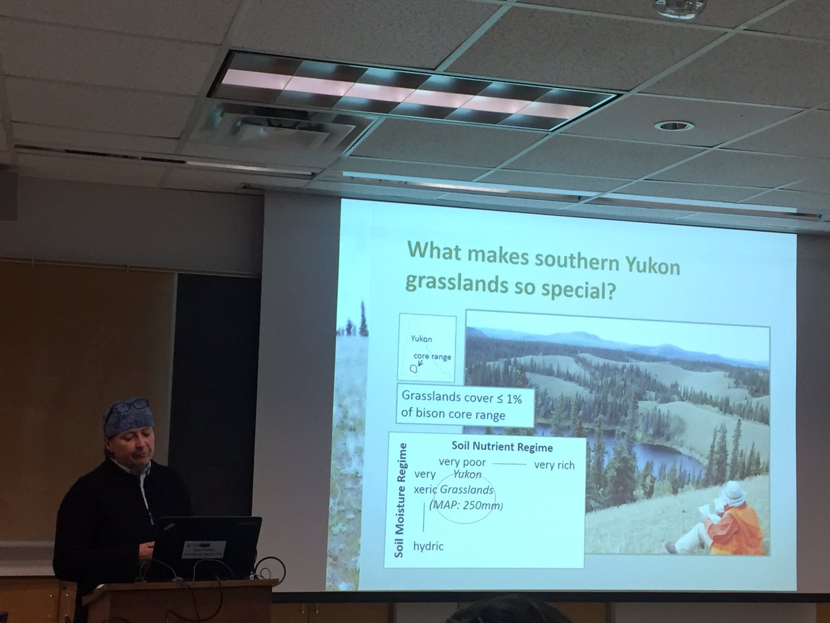 UAlbertaRRI's tweet photo. Fantastic MSc thesis seminar by @UofAALES Lori Schroeder! Cool #plant #biodiversity data! #bison #grazing #Yukon #grasslands https://t.co/0TFBnfGr2T