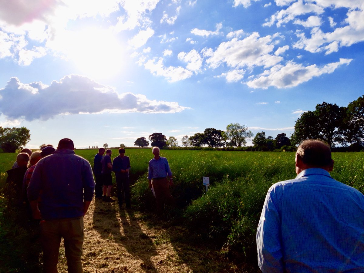 AgriiBen's tweet photo. Great Evening With The @AgriiUK Team At This Evenings Summer iFarm Event!

Plot Tours And Workshops For Winter Wheat, OSR, Spring Barley, Winter Barley, Seed Dressings, Crop Management &amp; @RhizaDigital! https://t.co/pf98Nxgn9P