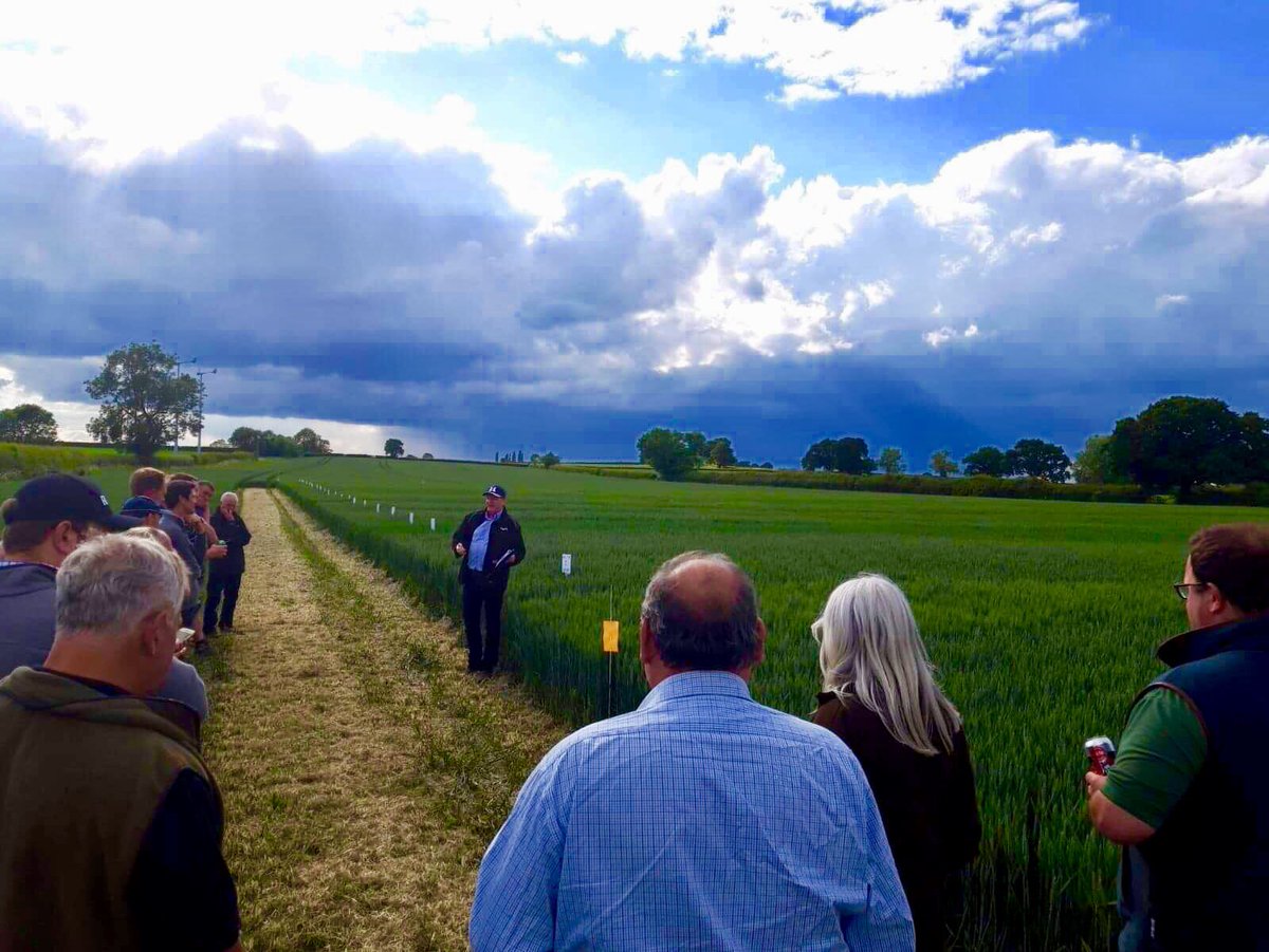 AgriiBen's tweet photo. Great Evening With The @AgriiUK Team At This Evenings Summer iFarm Event!

Plot Tours And Workshops For Winter Wheat, OSR, Spring Barley, Winter Barley, Seed Dressings, Crop Management &amp; @RhizaDigital! https://t.co/pf98Nxgn9P
