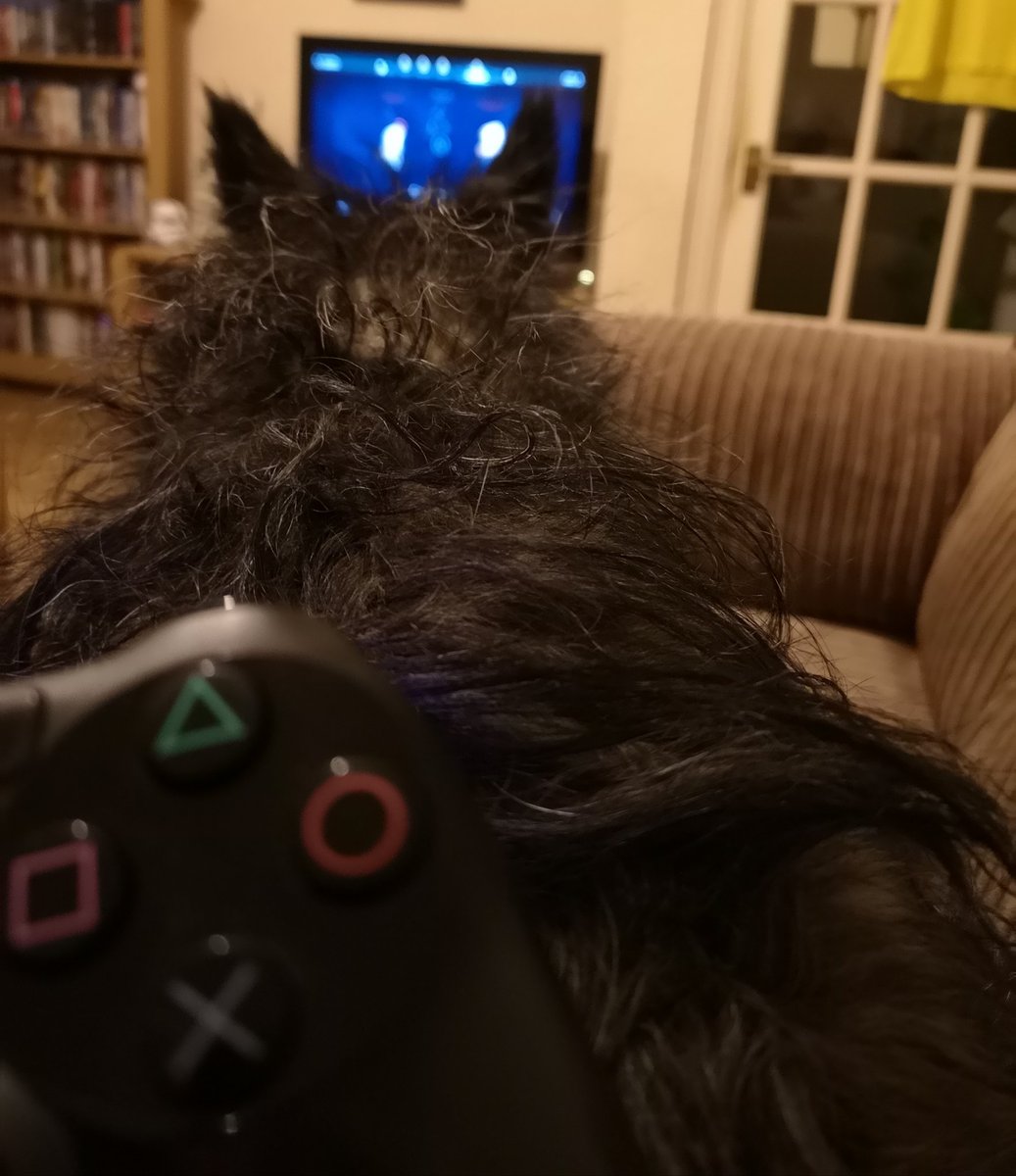 ShortyAZK's tweet image. Attempting to play Assassins Creed; current view! #gamerfail