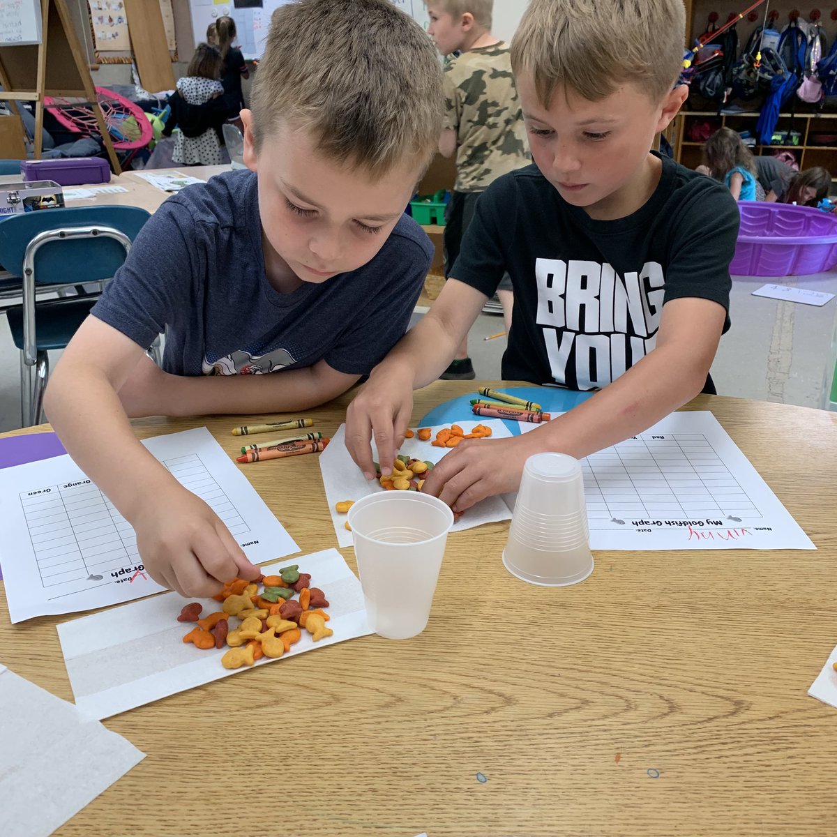 Ashley Rodrigues tweet media