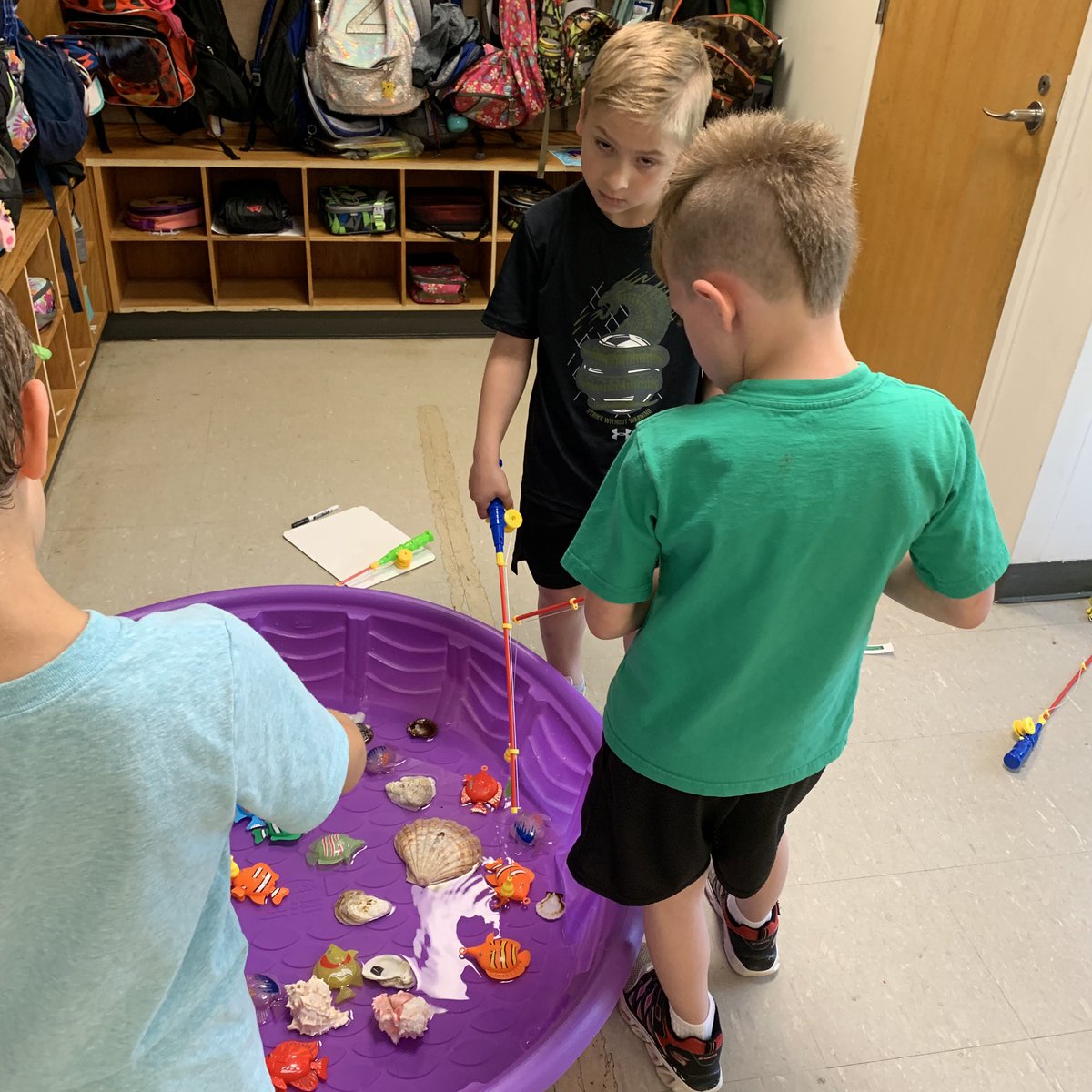 Ashley Rodrigues tweet media