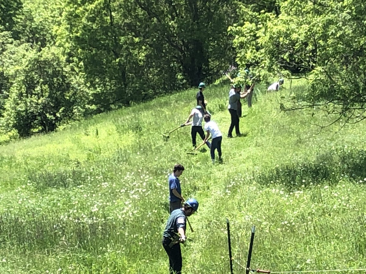 corycoffey152's tweet photo. Using a weed whip is serious work. Makes one appreciate power tools. #cvsdvt #CVURISE #PeterLangella #vycc https://t.co/PhFbWWtNL4