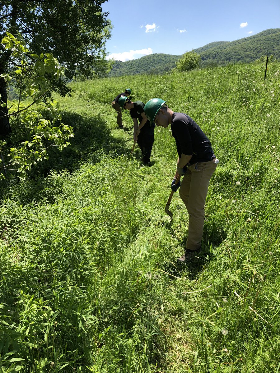 corycoffey152's tweet photo. Using a weed whip is serious work. Makes one appreciate power tools. #cvsdvt #CVURISE #PeterLangella #vycc https://t.co/PhFbWWtNL4