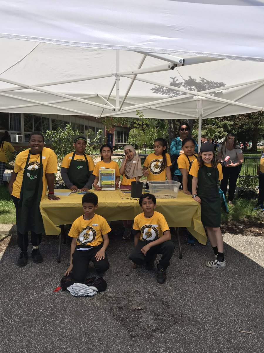 Ms_B_Chen's tweet photo. Tredway Woodsworth welcomes #TreeForMe and #BeeCity to our school community event. What a beautiful day to be outside! @MauroPaluzzi @sawh4kids @mmewhite217 @AbhiArul @schan_tdsb https://t.co/KnuEOnnVH3