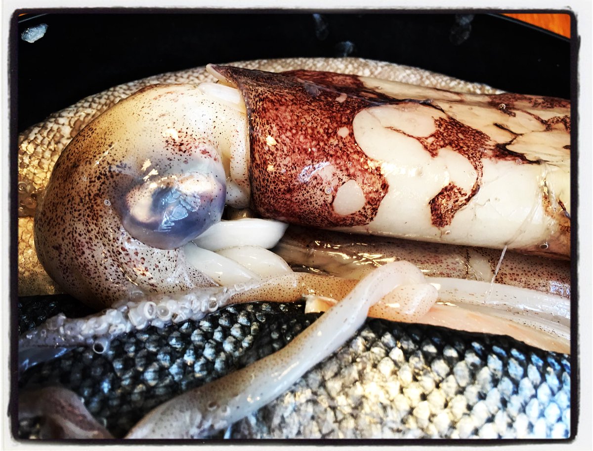 WKCookerySchool's tweet photo. Fish class tonight #fishclass #cookingclass #cookeryschool #seabass #salmon #squid #haddock #mackeral #wilmsllw #cheshire bramhall #Cheadle #Wilmslow #alderlyedge #manchester #foodofinsta #taco https://t.co/efYKqhLahu