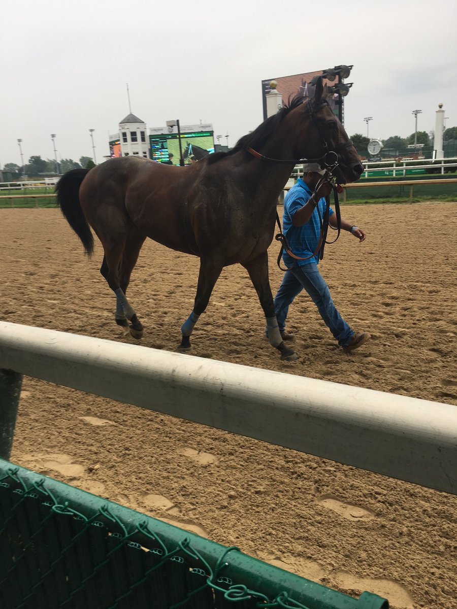 DockumReb's tweet photo. How exciting!!!  Watching horses race at Churchill Downs!  #chpantherpride #apread https://t.co/5uGr1eewby