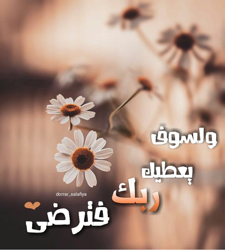 🍃🍃
لولا اليقين .. لمَا أفاد قلوبَنا
صبرٌ على البلوىٰ ولا سلوانُ

والصبر جسرٌ في محيط جراحِنا
و نهايةُ الجسر الطويل جِنانُ

للهِ تصريفُ الأمورِ ، وعندهُ
حُكم القضاء ، و عندنا الإذعانُ

ندعو فتشعر بالصفاء قلوبُنا
يشيع في نبضاتها اطمئنانُ