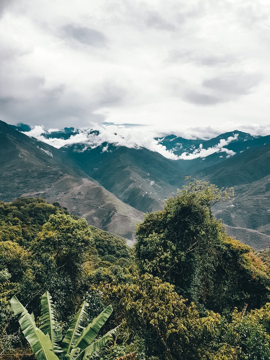 CompassesQuests's tweet photo. An incredible view from our hostel in Coroico, Bolivia😍
#Bolivia #TravelBlogger #SouthAmerica #Amazon https://t.co/i2GoPmf1Do