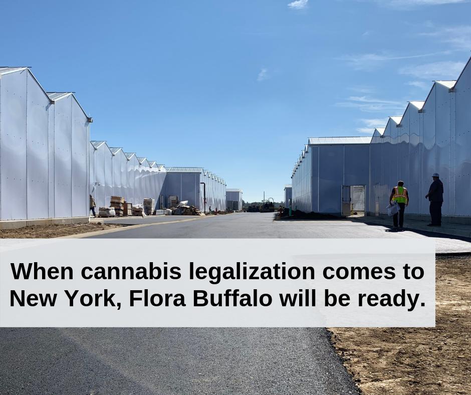 Check out this interview for the latest on Flora Buffalo’s commitment to building out #BuffaloNY &amp; #WNY as a leader in cutting edge research, education &amp; example for community restoration and social equity. wben.radio.com/media/audio-ch…