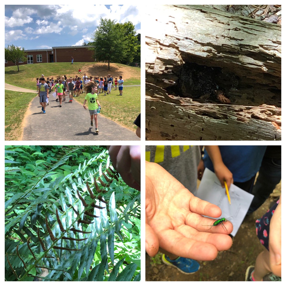 bethroesch's tweet photo. Spending part of our last full day together exploring our world and its wonders! #BakerButler #4thGrade #naturelovers https://t.co/I4jWcFLaDe