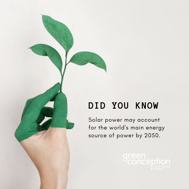 GreenConception's tweet photo. Did you know? 🌱 https://t.co/e4JRMvVzJg