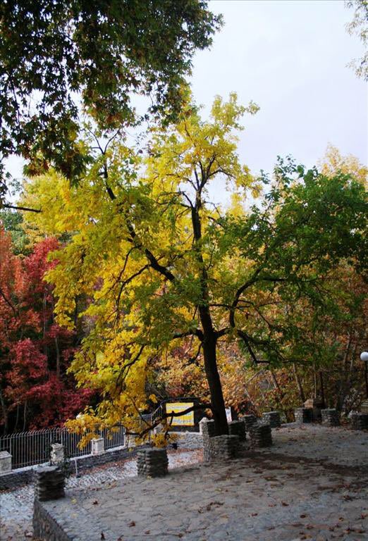 IranToursMCN's tweet photo. Savojbolagh County is a county in Alborz Province in Iran.                                           #iran #irantoursmcn #travel #tour #tours #tourism https://t.co/N23G5t5RQk